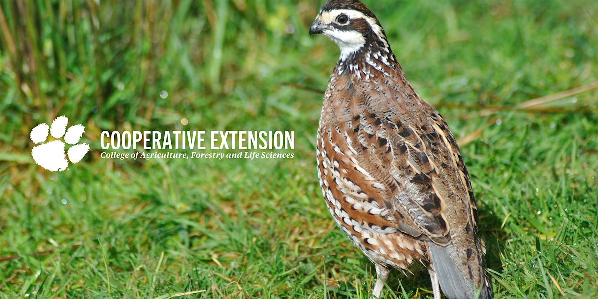 Bobwhite Quail Management 2.0, 2 December | Event in McBee | AllEvents