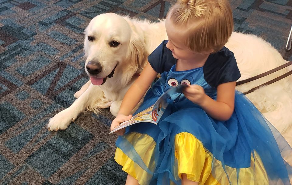 ReadtotheDog Prescott Valley Library, Prescott Valley Public Library