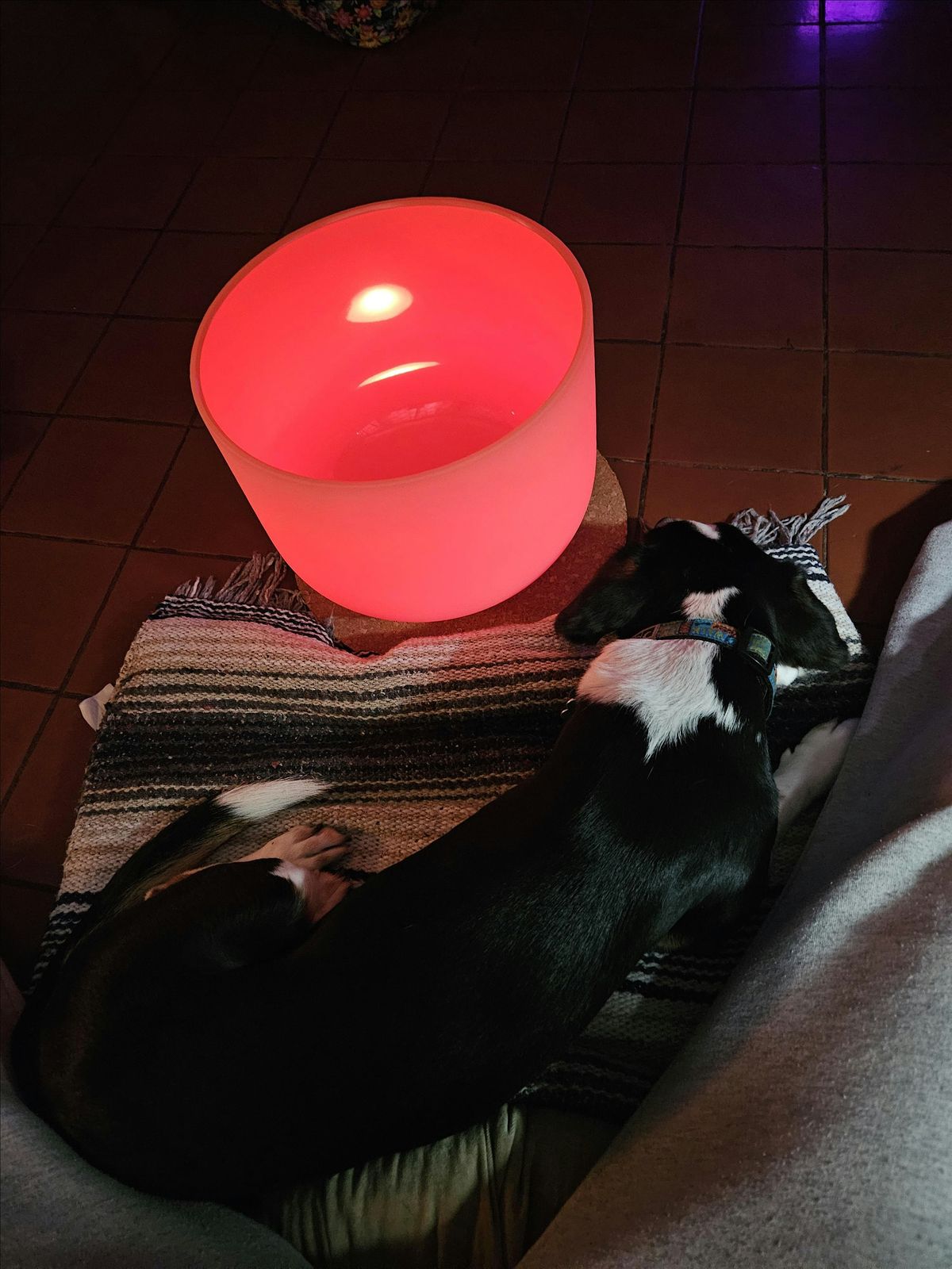 Yoga Nidra and Sound Bath