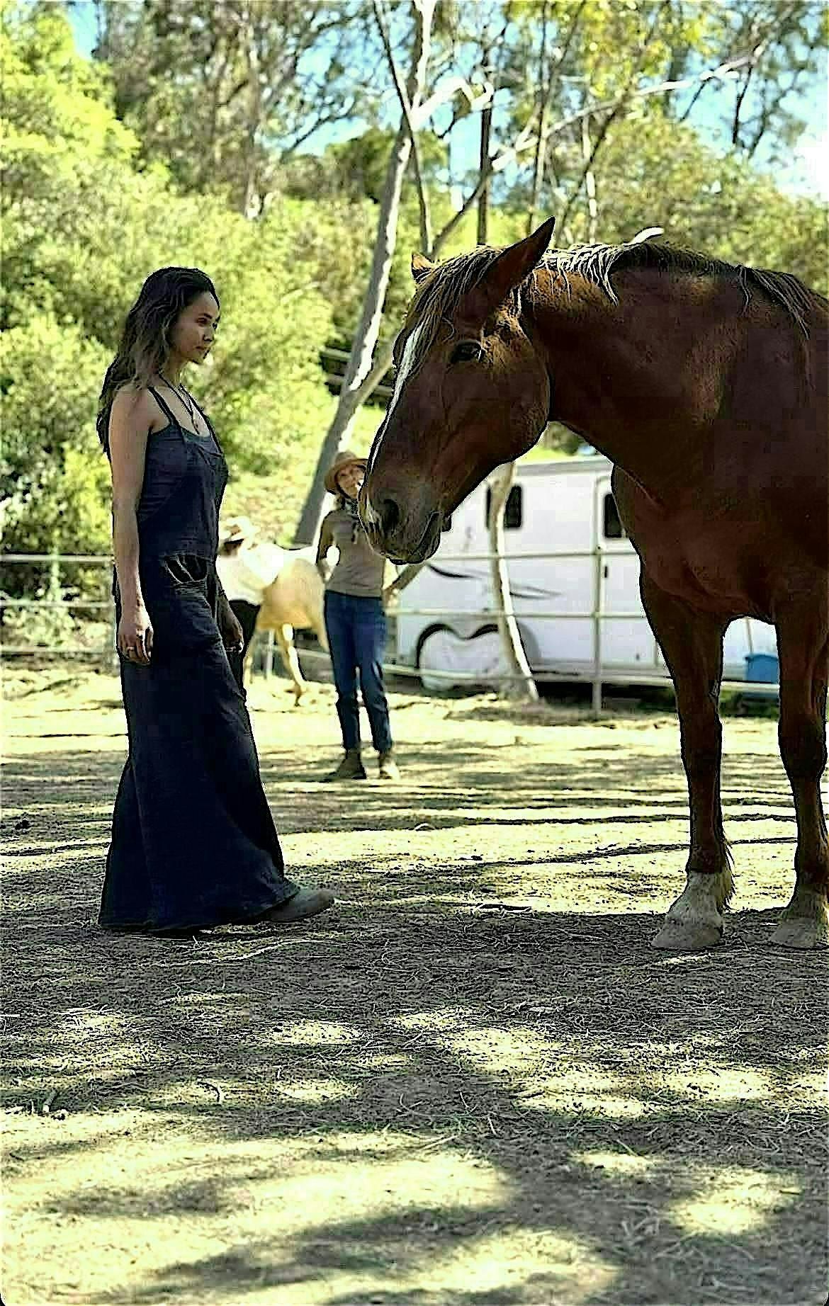 2026 YEAR OF THE HORSE ACTIVATION : CONNECT WITH HORSES + SOUND HEALING, 11 January | Event in Agoura Hills