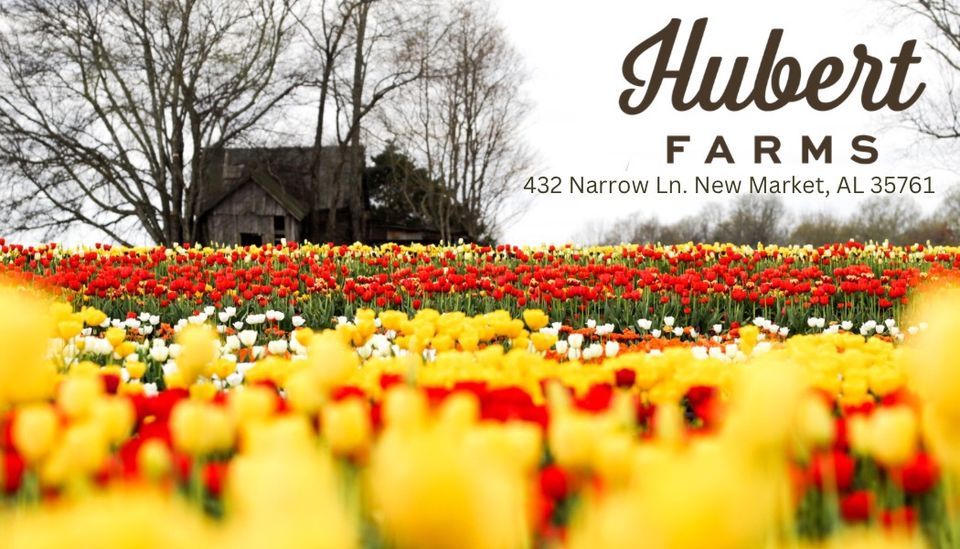 Tulip Festival 2024 Opening Day, 432 Narrow Ln, New Market, AL 35761