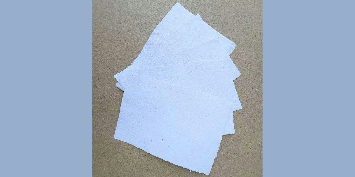 Paper Making Workshop, Good Practice, Denver, 7 November 2026 | AllEvents
