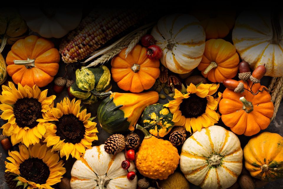 Harvest Festival, Hampton Grange & Gwen Walford Nursing Homes, Hereford