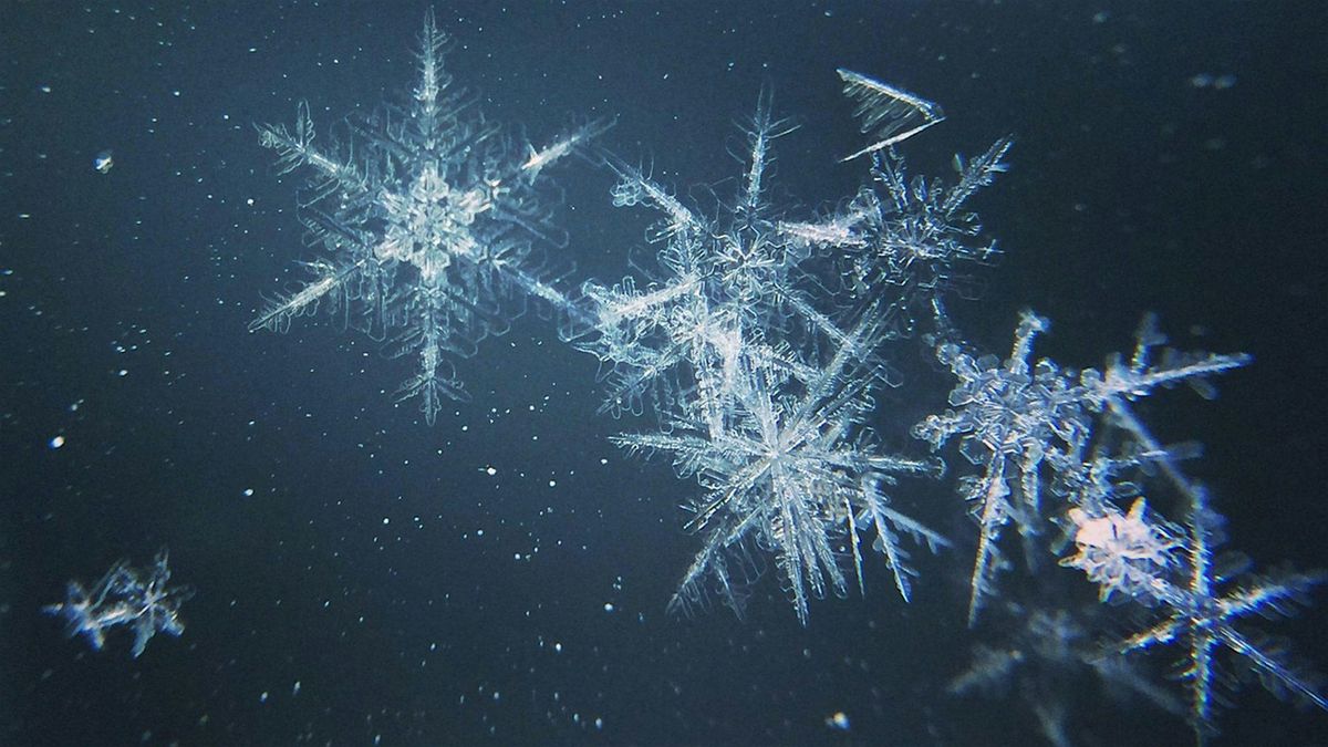 Winter Solstice, 10 December | Event in Uxbridge | AllEvents