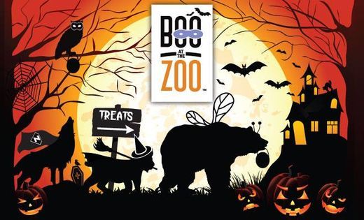 Boo at the Zoo 2020 College Point