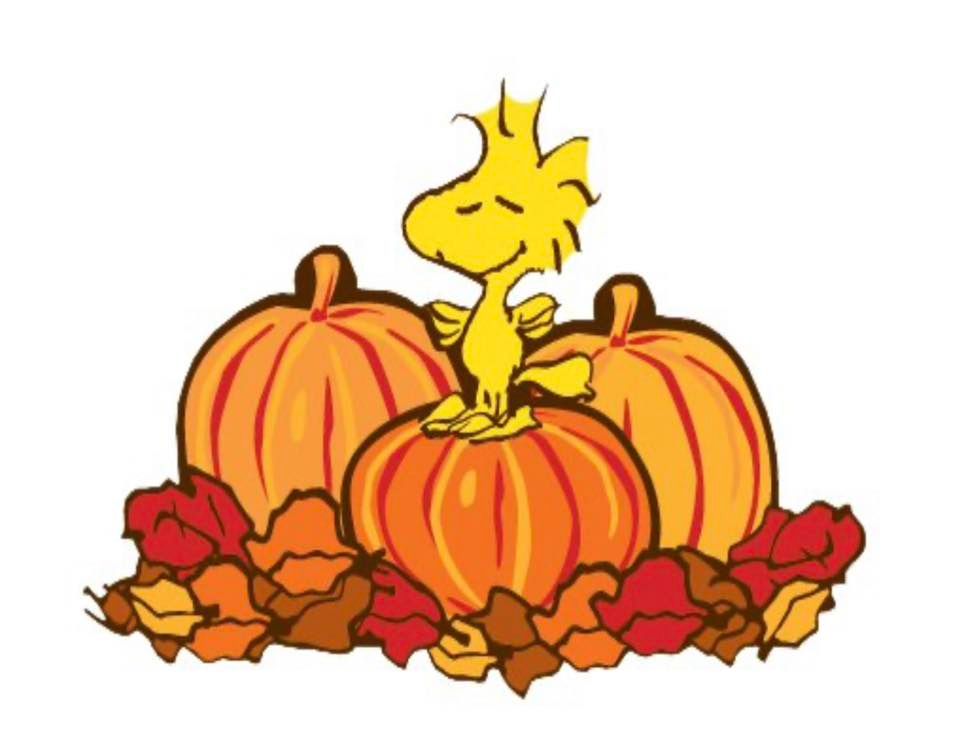 Kids Fall Fun Shoot, Screaming Eagle Archery of Alaska, Wasilla