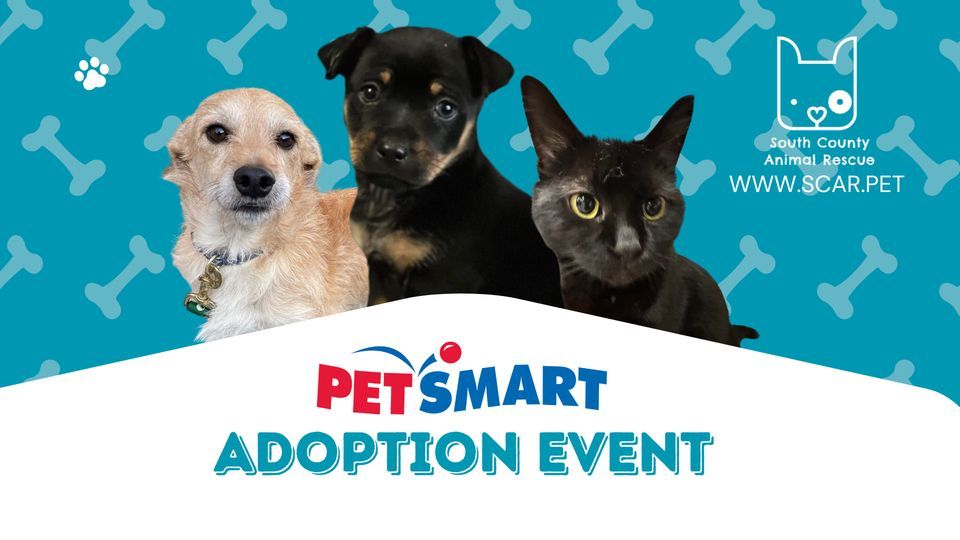 adoption-event-at-petsmart-salinas-petsmart-salinas-ca-march-18