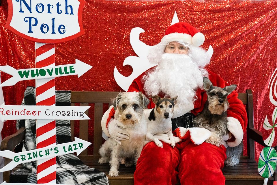 Daycare Christmas Party, ABC Pet Resort & Spa, Humble, December 14 2023