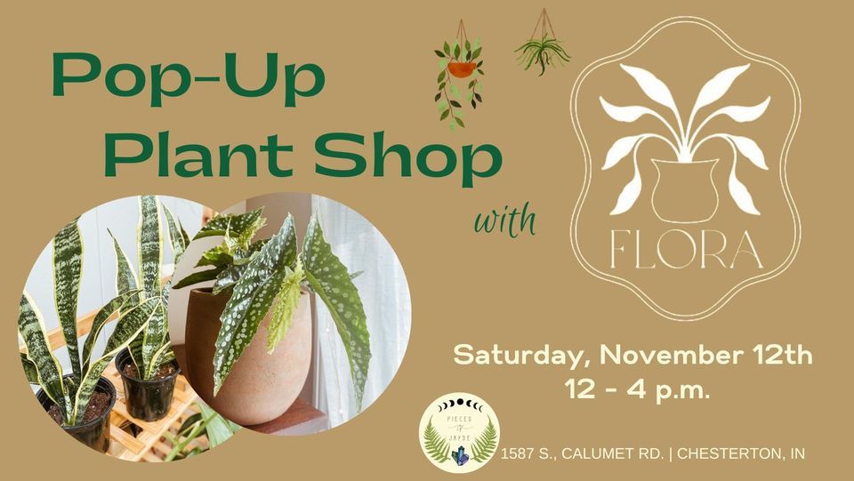 Pop Up Plant Shop with Flora Plants at Pieces of Jayde, Pieces of Jayde