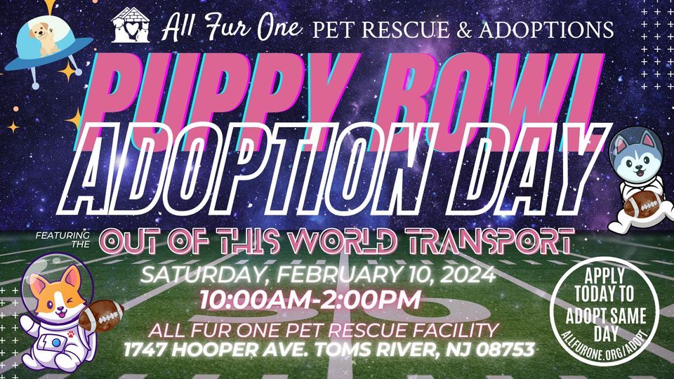 All Fur One PUPPY BOWL 2025 Adoption Day Event, 1747 Hooper Avenue