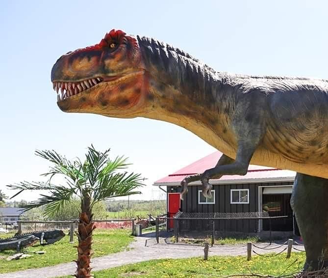 Dinosaur DriveThru Monday August 10th COVID 19 Safe, Indian River