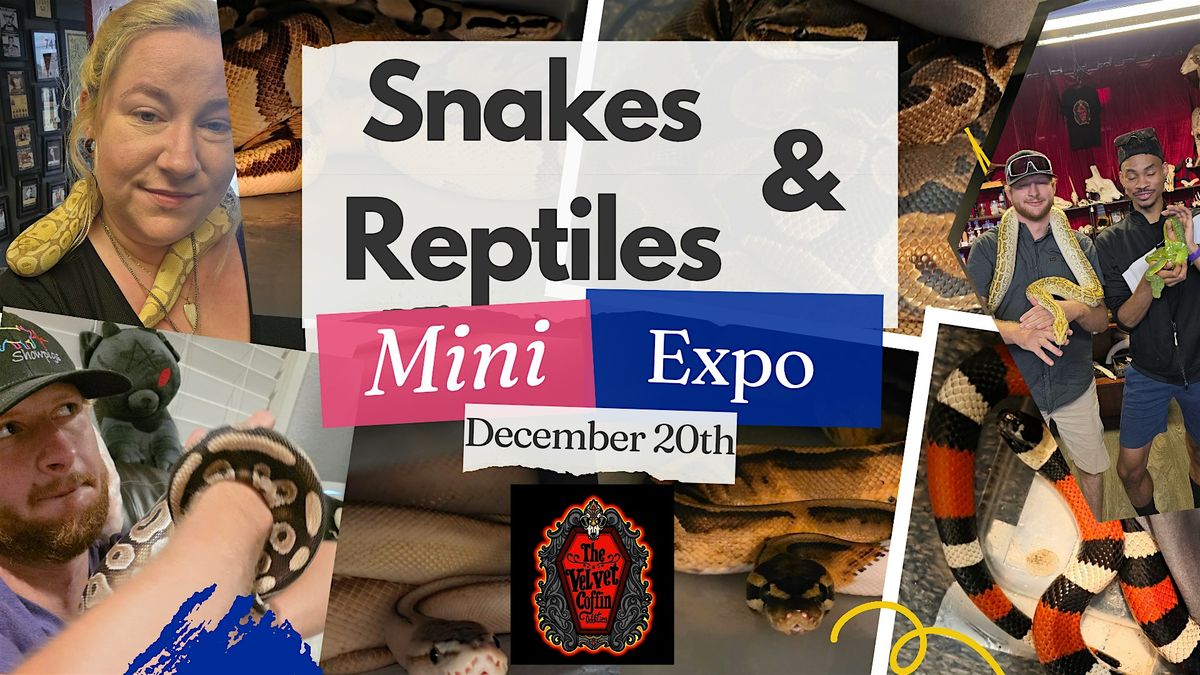 Snakes & Reptile Mini Expo, 20 December | Event in Richland Hills | AllEvents