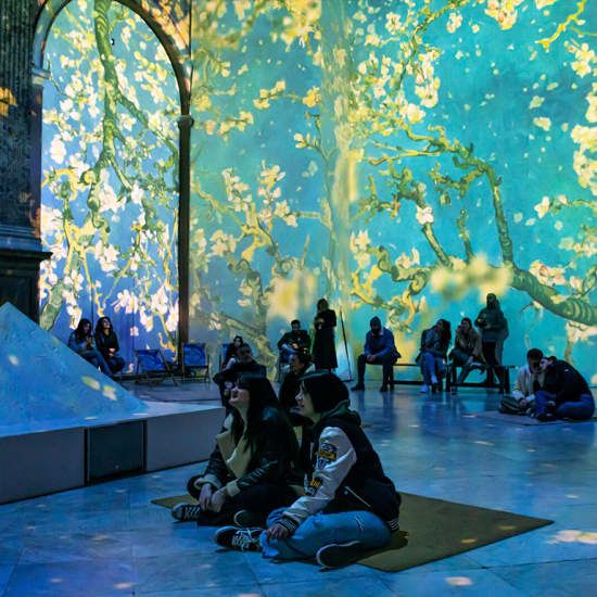 Van Gogh: The Immersive Experience | Event in Maryville | AllEvents