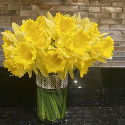 The Thursday Garden Club of Sudbury logo