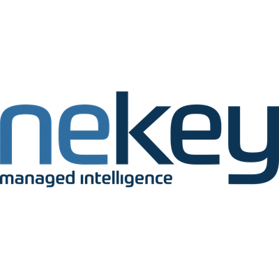 neKey Business AI Team logo