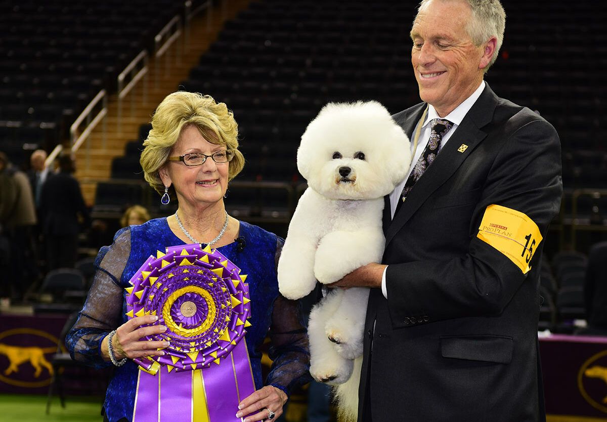 The National Dog Show, 15 November | Event in Oaks | AllEvents