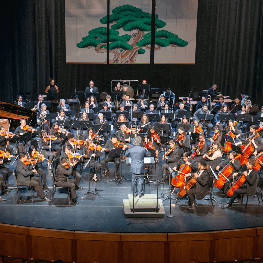 Florida OrchestraFlorida Orchestra - Beethovens Symphony No. 7 at Mahaffey Theater - Duke Energy Center for the Arts FL, 11 April