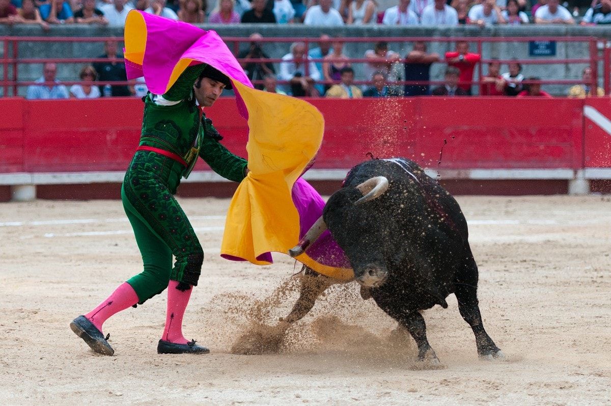Bullfighting Madrid 2026 - Certamen Cénate Las Ventas Tickets, Plaza de ...