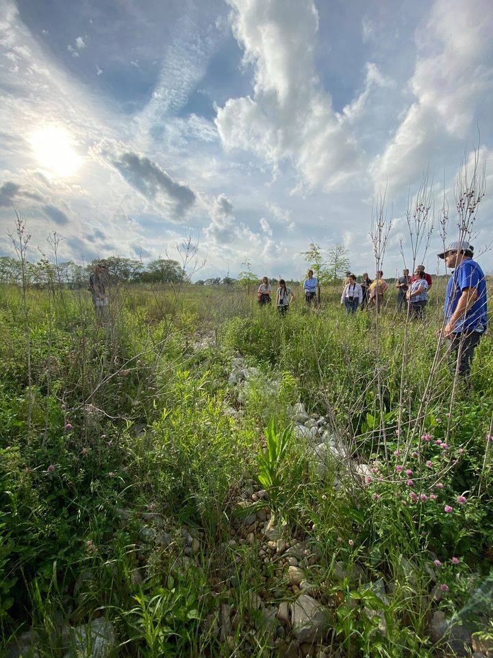 AmeriCorps Week Invasive Removal & Clean Up, Godown Dog Park, Riverlea