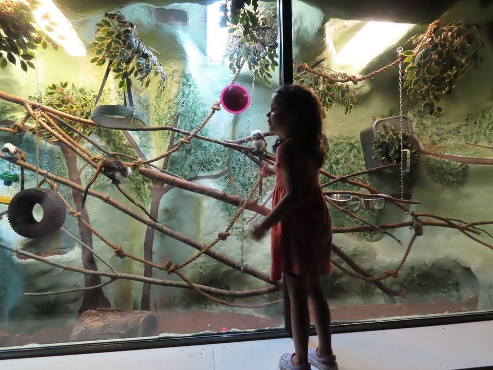 Mothers Day At The Zoo