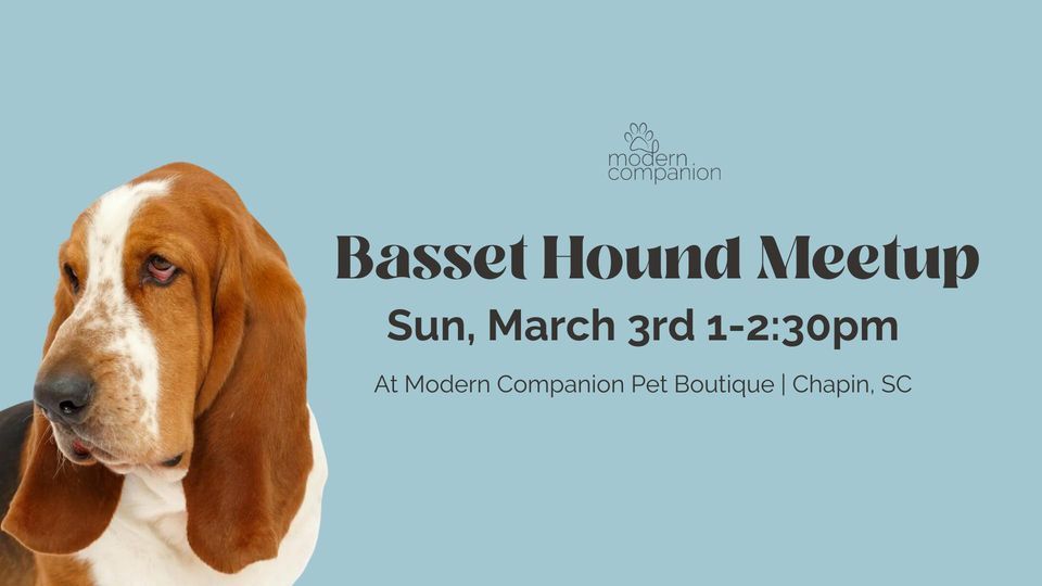 Basset Hound Meetup, 508B Lexington Ave Chapin, SC, United States