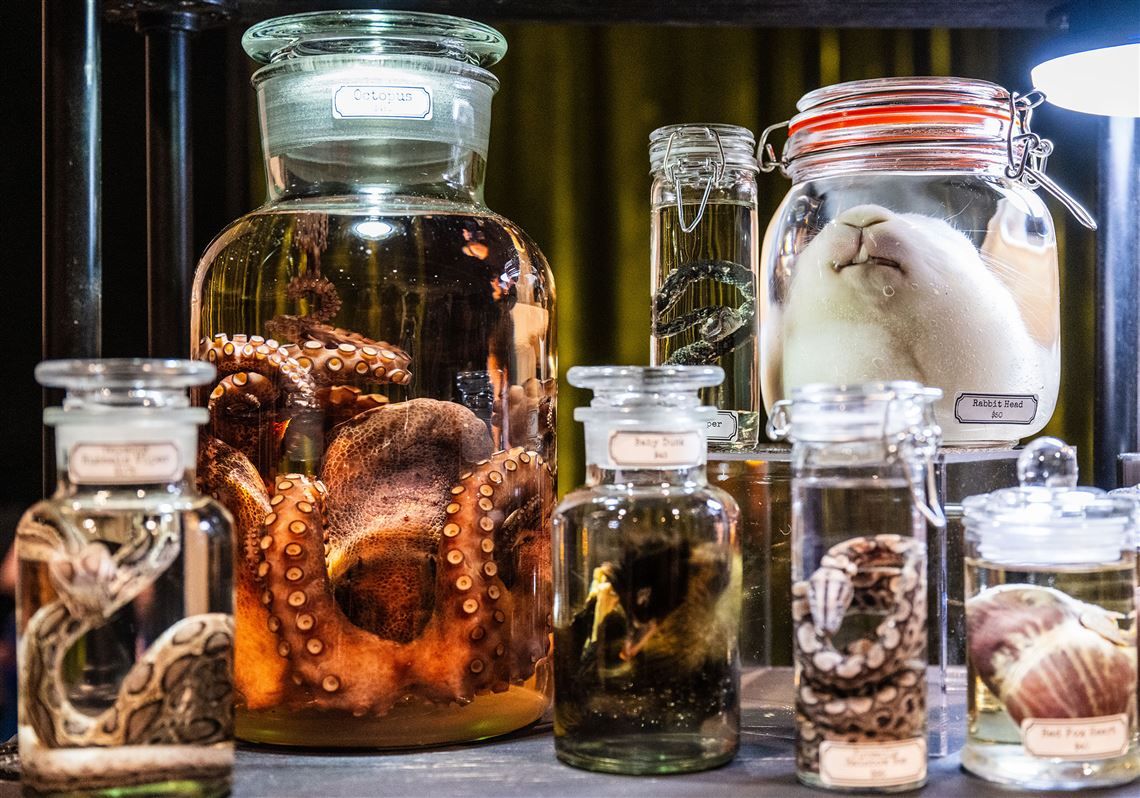 World Oddities Expo, 3 October | Event in Baltimore | AllEvents