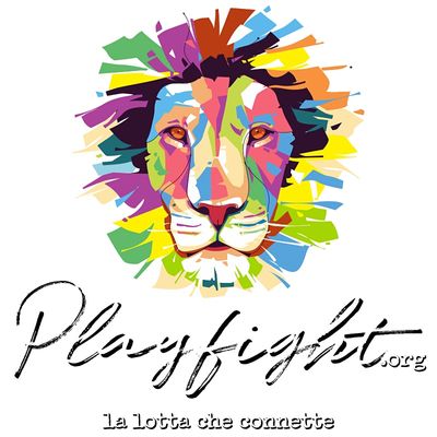 Playfight Milano logo
