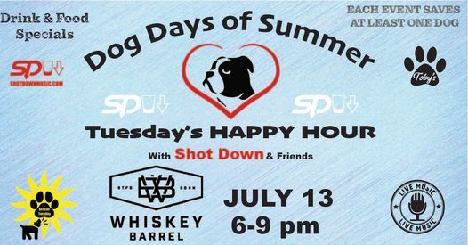 Dog Events In Stratford Ct Dog Training Classes Workshops In Stratford Ct 2022 Dog Events Connecticut