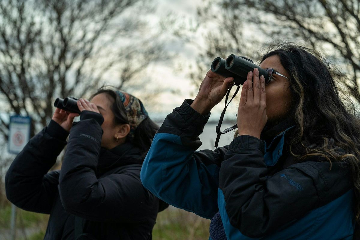 Birding Basics: Beginner, 6 December | Event in Toronto | AllEvents