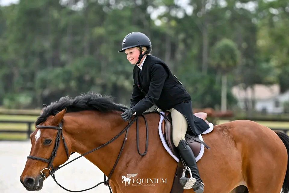 The Ridge At Wellington Groves Holiday Horse Show , The Ridge at