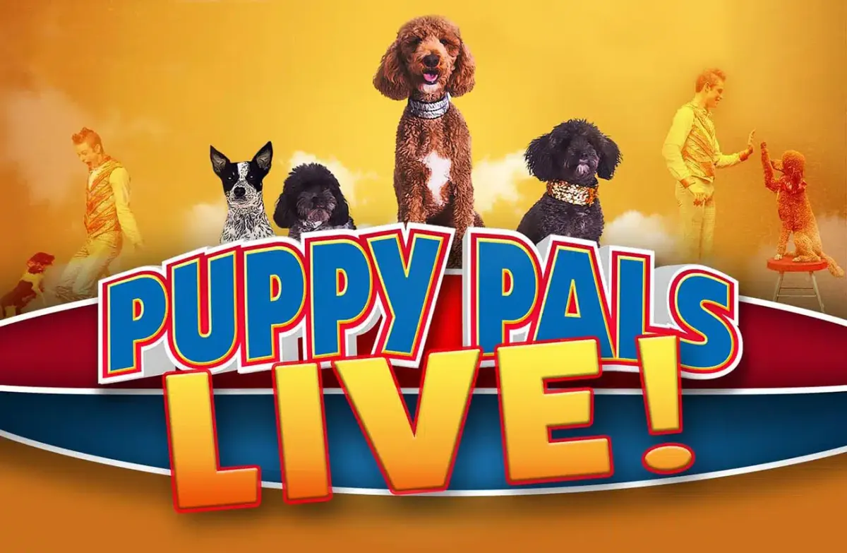 Puppy Pals Live at Weber Center For The Performing Arts, 1 March | Event in La Crosse | AllEvents