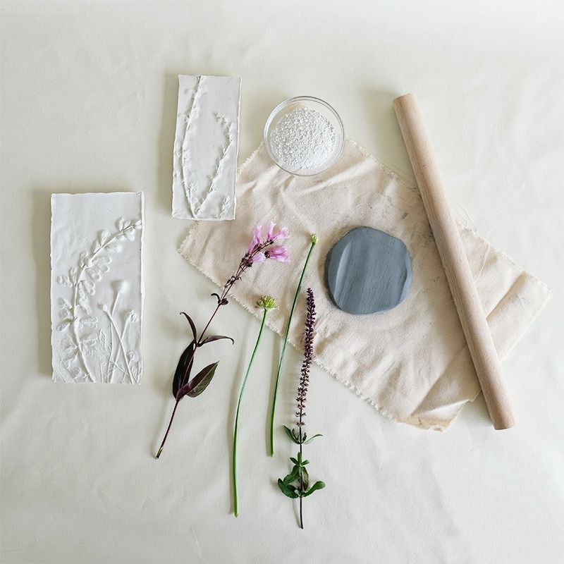 Botanical Plaster Prints, 23 April | Event in St. Louis | AllEvents.in
