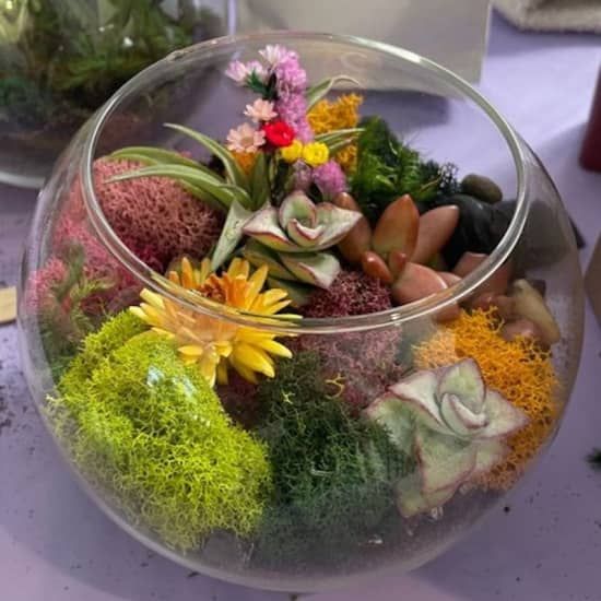 Open Glass Terrarium Class | Event in San Mateo | AllEvents