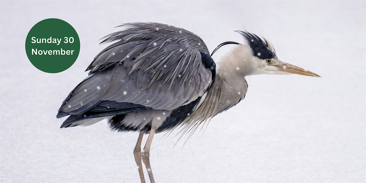 Guided Nature Walk at Gosforth Nature Reserve, 30 November | Event in Gosforth | AllEvents