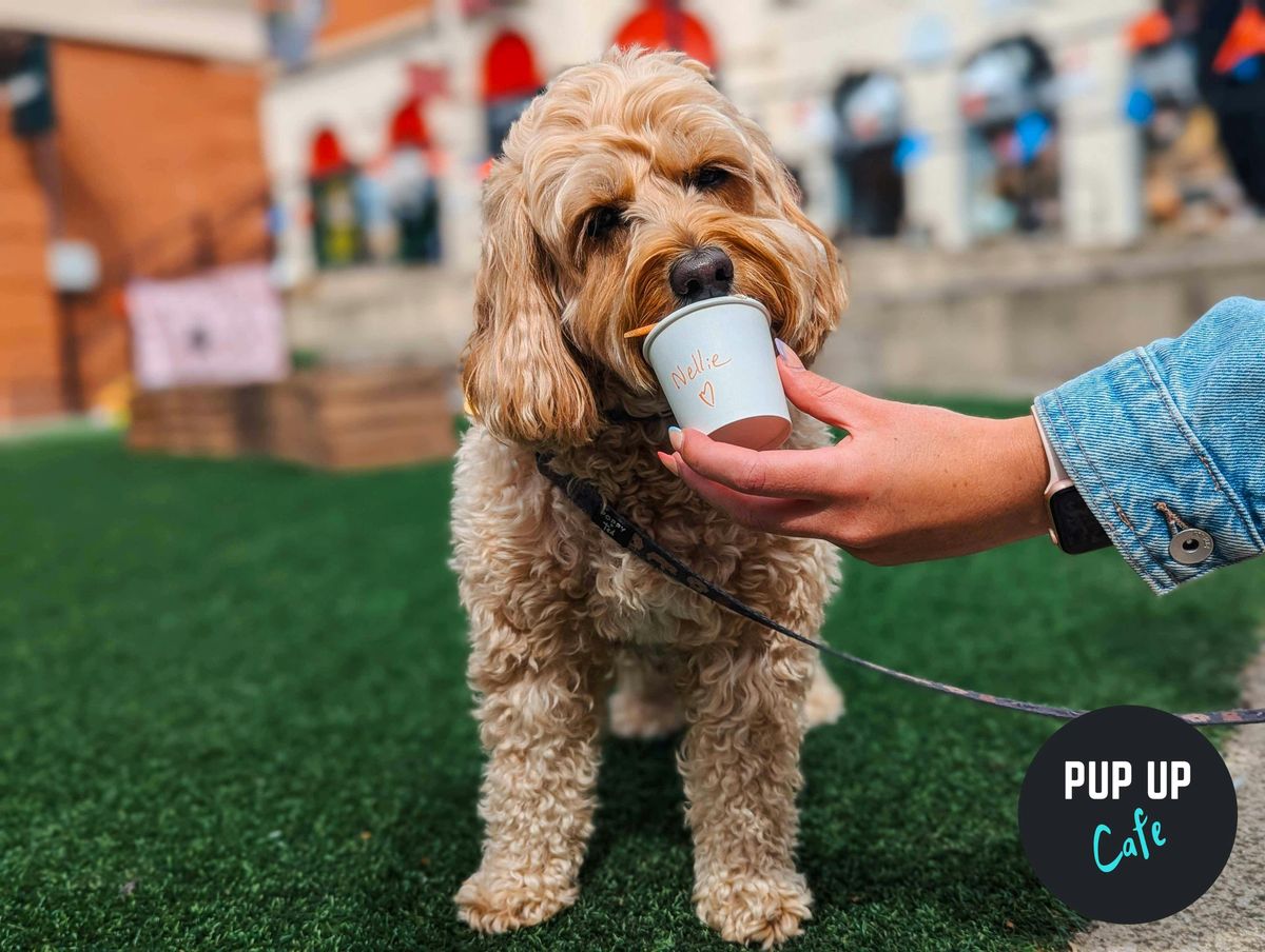 All Paws Welcome Pup Up Cafe - Nottingham, 24 May | Event in West Bridgford | AllEvents