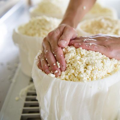 Valley Milkhouse Creamery logo