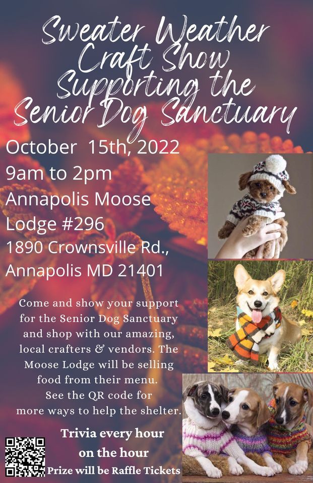 Sweater Weather Craft Show Supporting The Senior Dog Sanctuary Sweater Weather Craft Show Supporting The Senior Dog Sanctuary