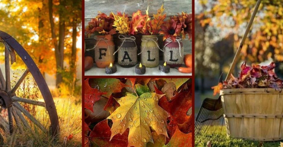 Oakmont at Gordon Park Fall Festival, 401 Gordon Avenue, Bristol, VA