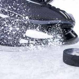 Kalamazoo Wings at Iowa Heartlanders at Xtream Arena