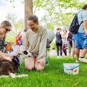 Shenandoah at Paramount Theatre Anderson