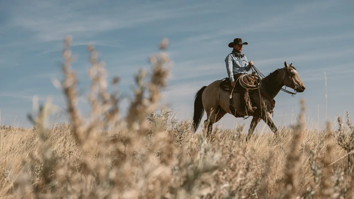 Colter Wall, Kade Hoffman in Tucson, 9 December | Event in Tucson | AllEvents