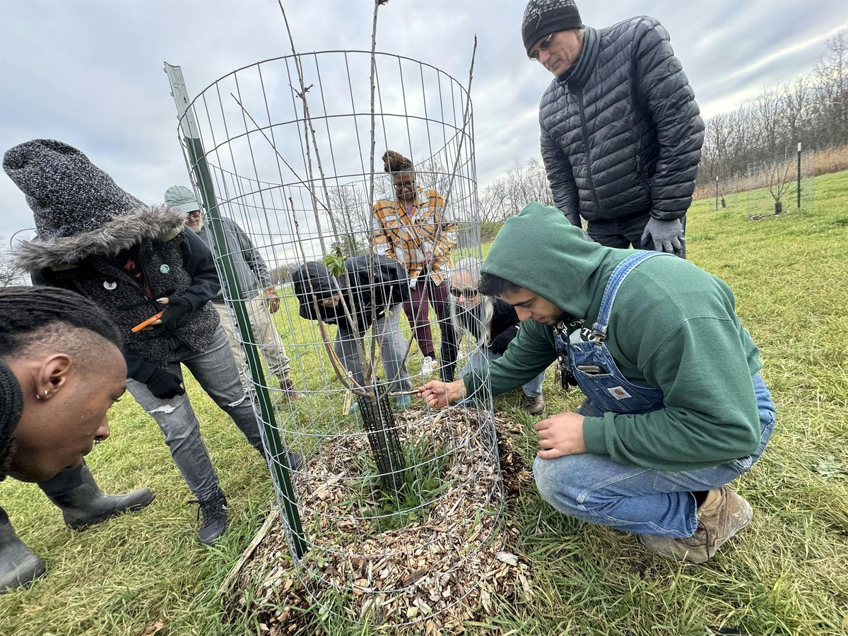 December Weekday Workdays!, 10 December | Event in Detroit | AllEvents