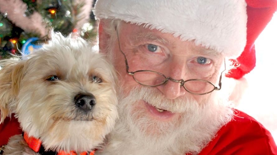 Pet Photos With Santa A Fundraiser For Seattle Humane Crossroads pet-photos-with-santa-a-fundraiser-for-seattle-humane-crossroads