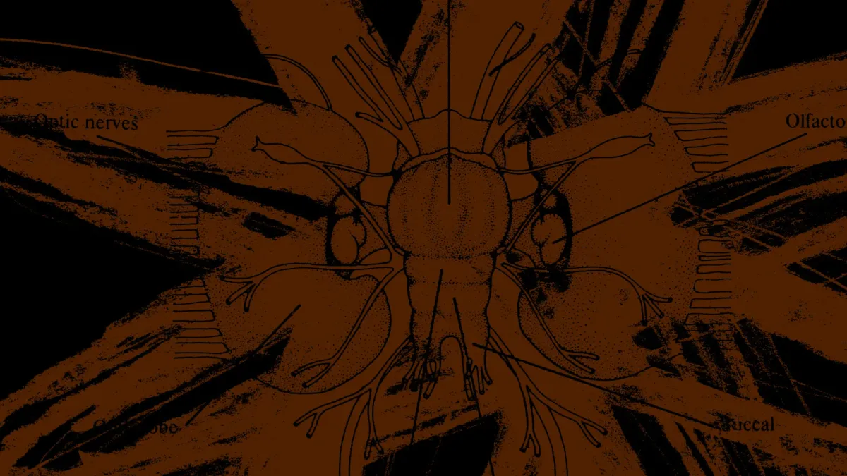 Orbital, Leftfield, Danny Tenaglia, Justin Robertson, Peter Hook, Jon Dasilva, Erol Alkan in Warrington, 13 September