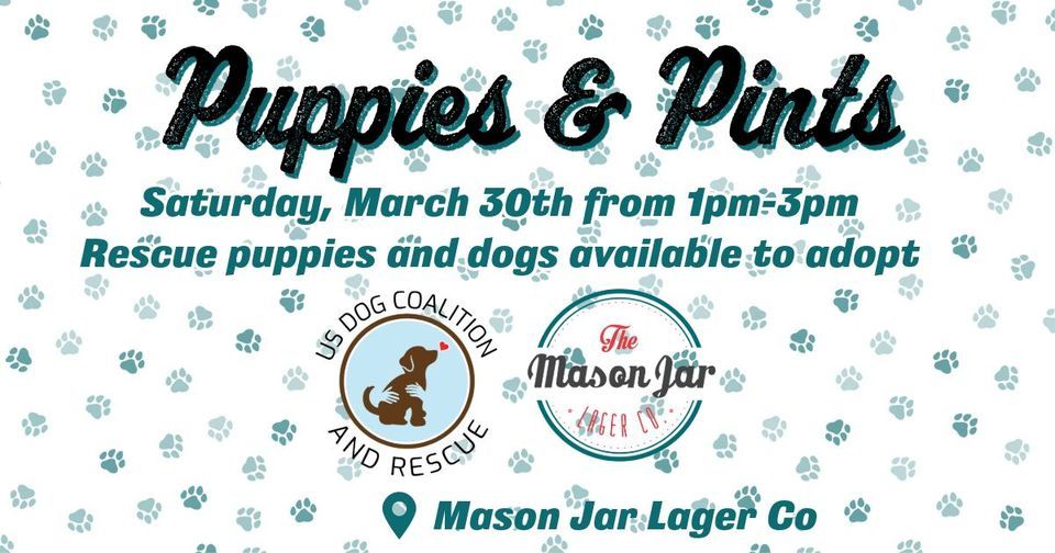 Puppies and Pints at Mason Jar Lager Co , 341 Broad St, FuquayVarina