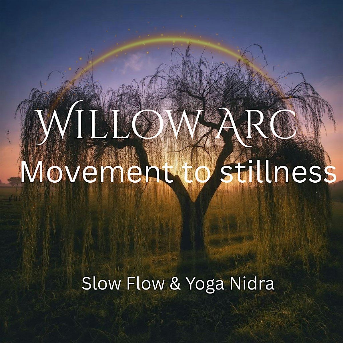 Willow Arc: Movement to Stillness