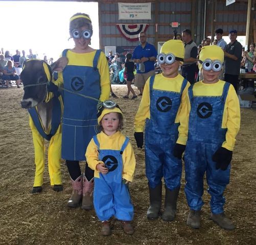 Canfield Fair Dress A Cow Contest Canfield Ohio September 5 2021 Allevents In Canfield Fair Schedule 2022
