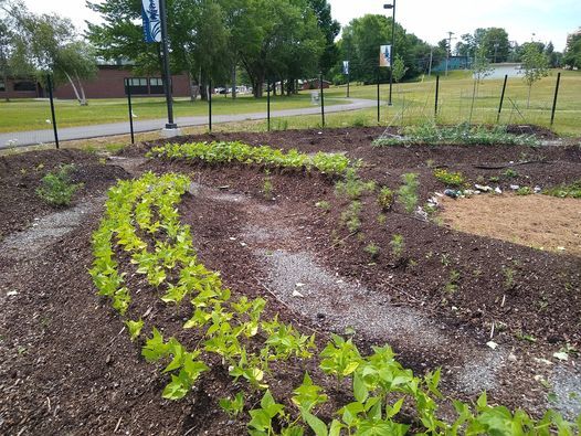 Events In Bangor Me In May 2021