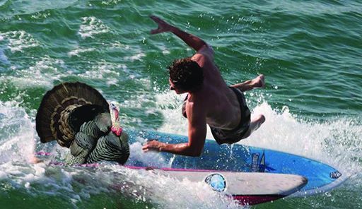 Flying Faders, Bigger Waves, and The Twanger Sisters at Zissimos, The ...