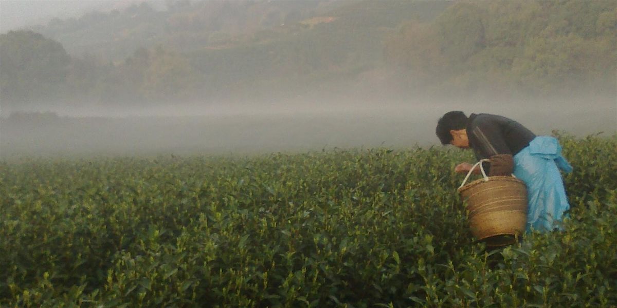 Spring Tea Under A Willow Tree, 26 April | Event in Glasgow | AllEvents